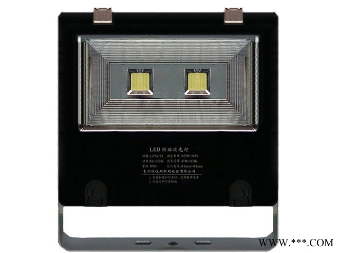 煌明 LZY3201  60W  工矿企业用LED 泛光灯生产厂家图2