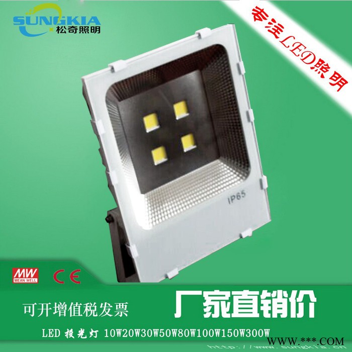 SK**TG-F13-100W 款防水投光灯/100W新款投光灯/自己开模的款式 **图3