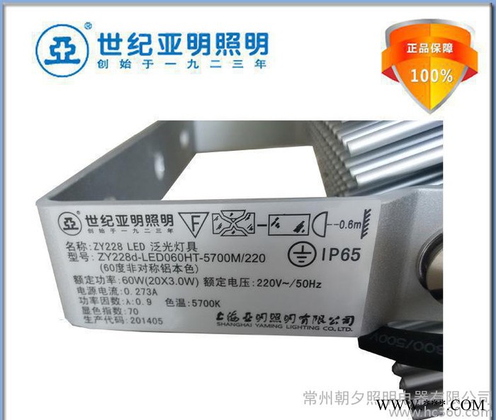 常州  上海亚明  ZY228 60W led泛光灯图2