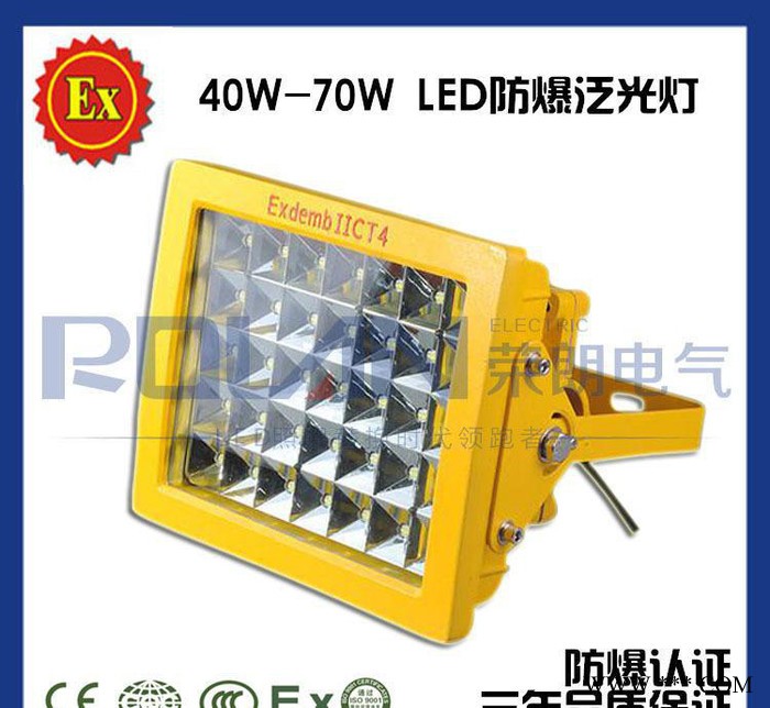 LED防爆灯厂家SW8131/EYF8900/ZL8921固态防爆节能泛光灯 质保七年图2