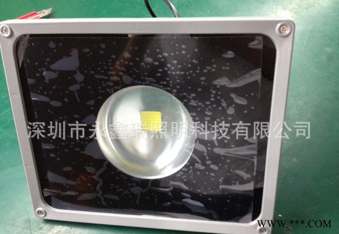 30W聚光泛光灯 户外楼宇亮化照树投射照明 60度聚光质保三图3