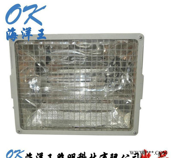 NTC9270投光灯大型体育场馆投光灯 华荣GT102大功率图1