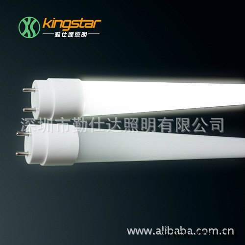 TUV认证LED日光灯管 T8 0.6M 8W 正白色温日光图2