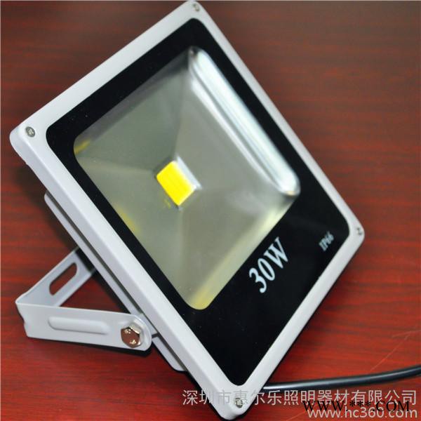 供应惠尔乐 LED投光灯10W，超溥LED投光灯泛灯LED射灯，2014爆销热款图3