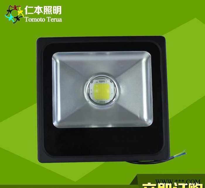 LED投光灯 LED户外投光灯 透镜型防水投光灯 50W10图3