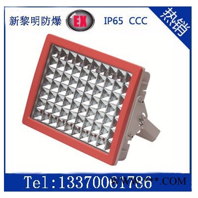 供应新黎明方形BZD188-02LED防爆投光灯，LED防爆泛光灯 加油站防爆LED投光灯 LED防爆灯厂家批发