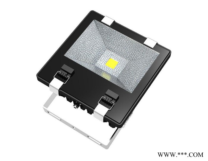 供应深圳led投光灯、独特散热新款鳍片泛光灯50W生产**270/PCS图2