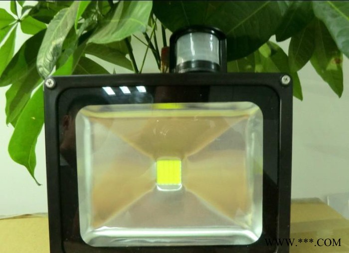 **新产品】大功率红外感应LED泛光灯,IP65图2