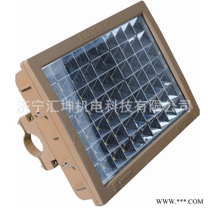 LED防爆投光灯 200w 160w YTL52 高效节能LED防爆投光灯图2
