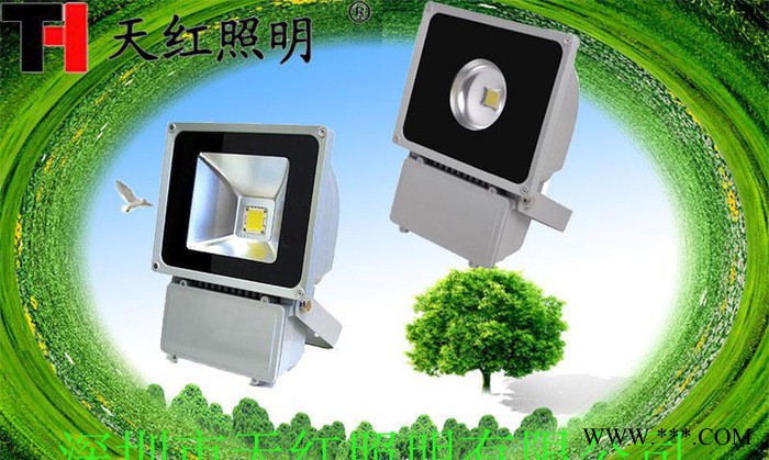 80W LED泛光灯 LED灯具(欢迎来到咨询洽谈)CE/R图3