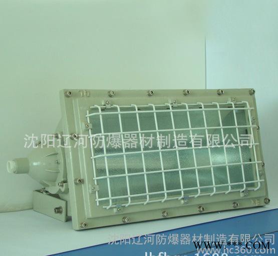 分体式防爆投光灯 量大优惠 辽河防爆图3