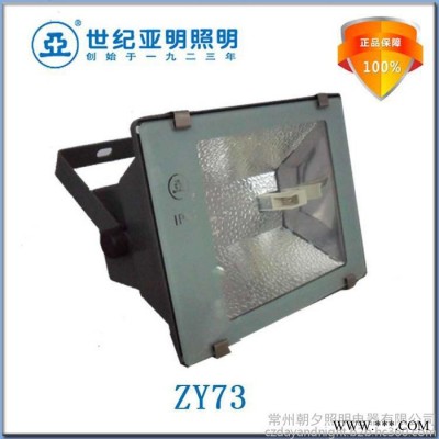 企业集采活动 5月促销  ZY73 小功率 150W泛光灯