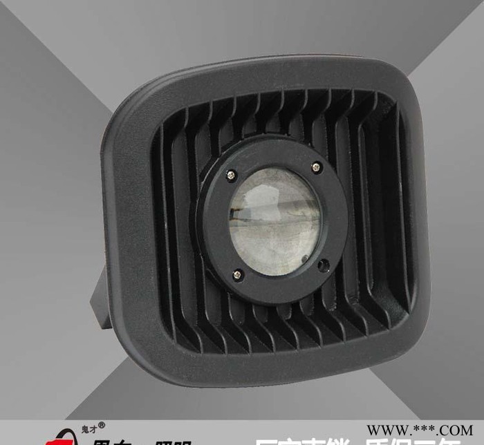 恩东照明 LED投光灯 户外灯广场灯投射灯泛光灯 30W 1图3