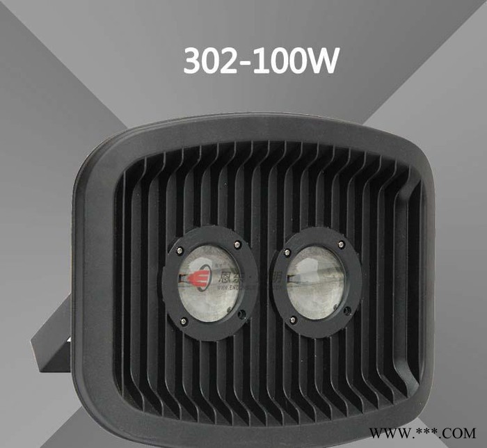 恩东照明 LED投光灯 户外灯广场灯投射灯泛光灯 30W 1图1