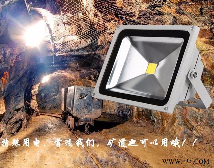 专业户外工程投光灯led泛光灯36v48v灯具厂家图4