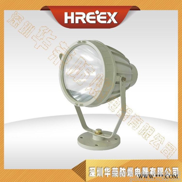 防爆投光灯 BAD5050防爆投光灯 BAD5050-L25图1