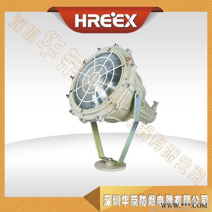 防爆投光灯 BAD5050防爆投光灯 BAD5050-L25图2