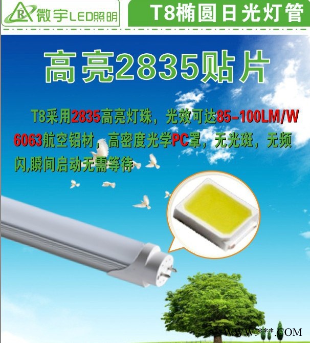 供应**T8日光灯管生产厂家微宇照明T8椭圆日光灯管图1
