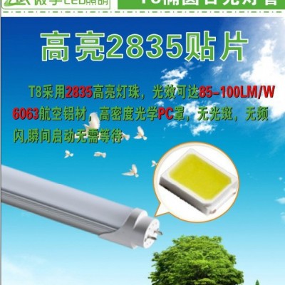 供应**T8日光灯管生产厂家微宇照明T8椭圆日光灯管
