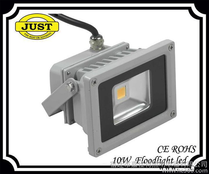供应JUST(嘉仕特)30W 新款可调节泛光灯图3