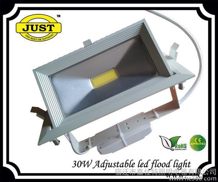 供应JUST(嘉仕特)30W 新款可调节泛光灯图1
