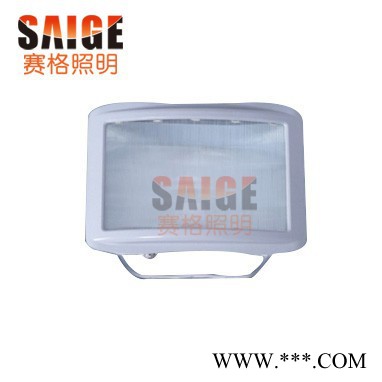 供应赛格照明NSC9720防眩通路灯,泛光灯图1