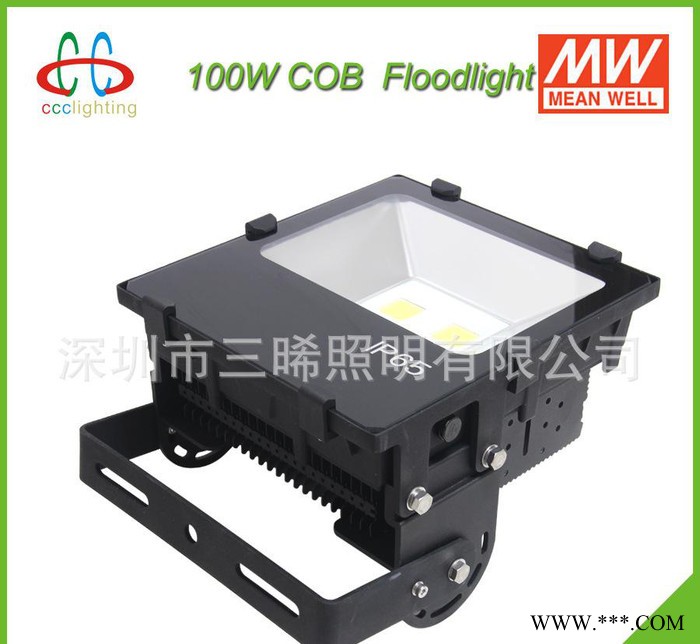 大功率LED泛光灯 100W UL认证 LED投光灯 广场灯户外灯 防水 IP65图1