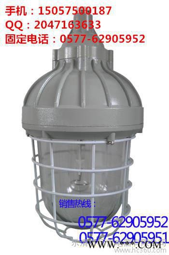 供应NFE014防爆泛光灯图1