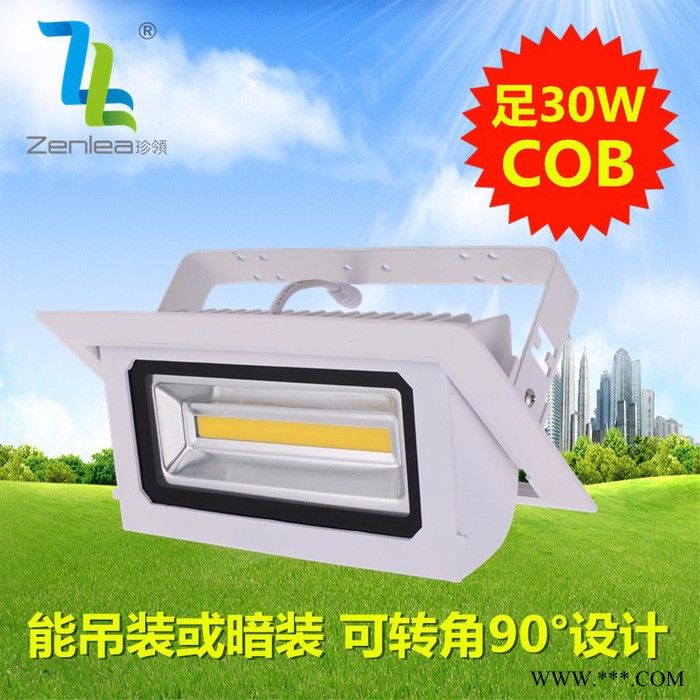 卓领照明ZL-FL1030-A2 LED 投射灯 室内投光灯新款室内可旋转led30W投光灯COB长方条泛光灯LED轨道图3