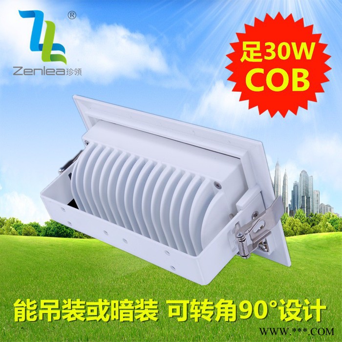 卓领照明ZL-FL1030-A2 LED 投射灯 室内投光灯新款室内可旋转led30W投光灯COB长方条泛光灯LED轨道图4