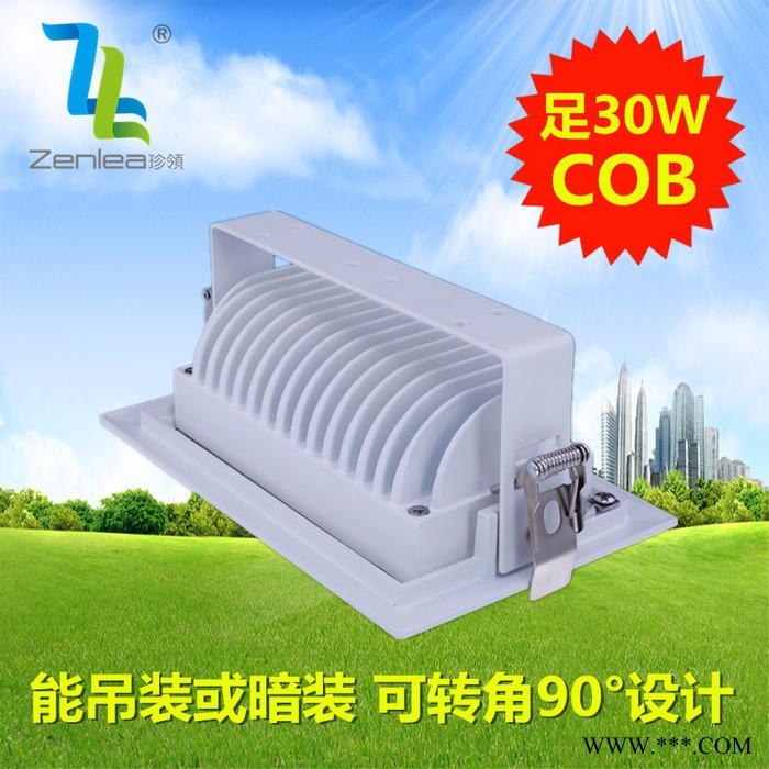 卓领照明ZL-FL1030-A2 LED 投射灯 室内投光灯新款室内可旋转led30W投光灯COB长方条泛光灯LED轨道图5