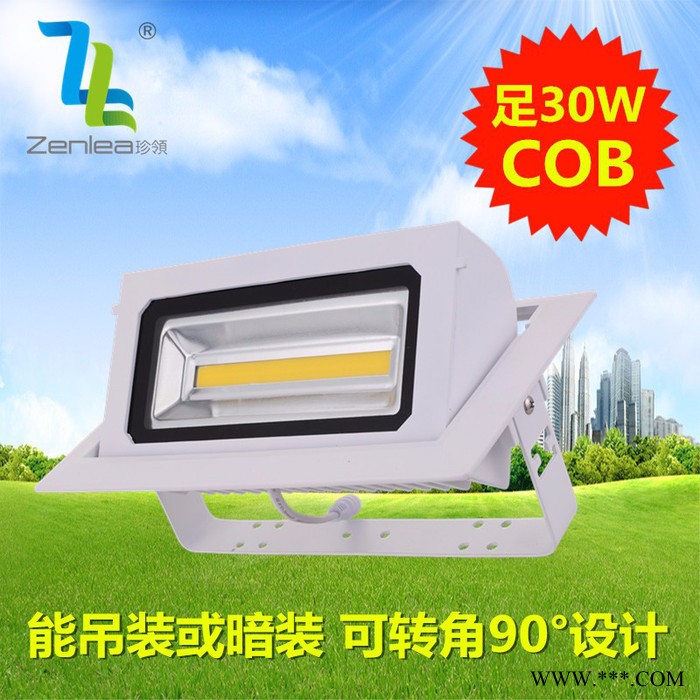 卓领照明ZL-FL1030-A2 LED 投射灯 室内投光灯新款室内可旋转led30W投光灯COB长方条泛光灯LED轨道图2