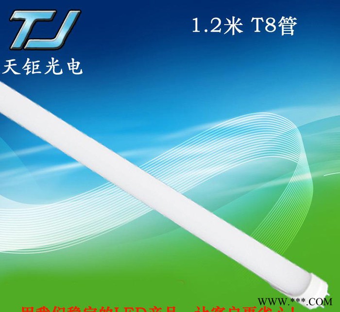 深圳T8LED日光管2835灯管图3