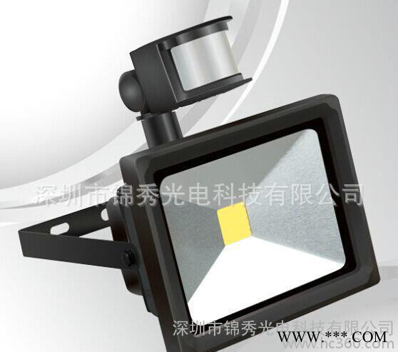 加工定制新款led投光灯JX-TG050W-003锦秀光电图2