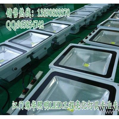 供应璨华照明30W集成泛光灯 广东集成投光灯厂家