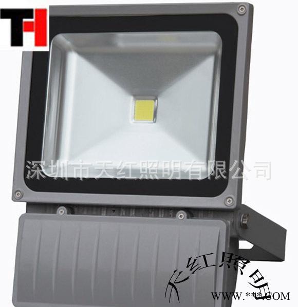 专业LED泛光灯100W high power LED fl图2