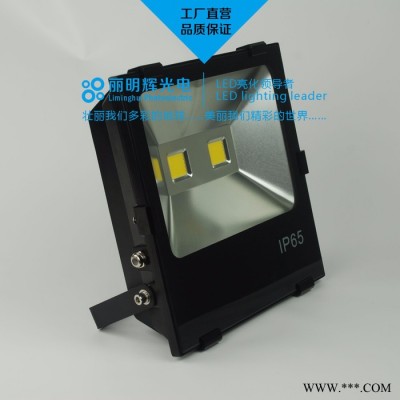 丽明辉LMH-T50LED投光灯50W100W150W200WLED防水泛光灯投光灯投射灯