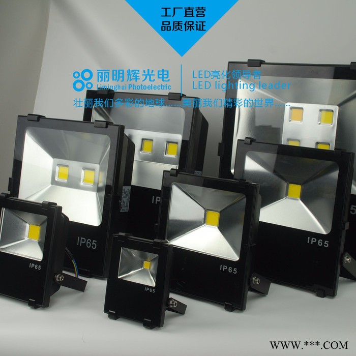 丽明辉LMH-T50LED投光灯50W100W150W200WLED防水泛光灯投光灯投射灯图3