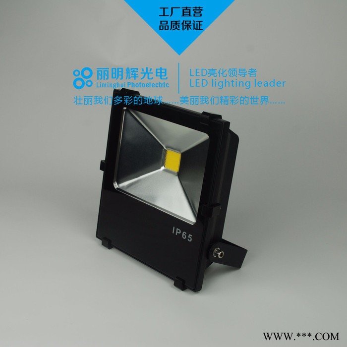 丽明辉LMH-T50LED投光灯50W100W150W200WLED防水泛光灯投光灯投射灯图2