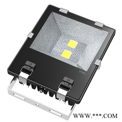 led投光灯50w超频三户外照明广告招牌灯射灯led泛光灯 **图2