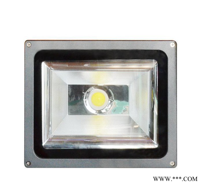 LED**新款30W金钻COB投光灯 高亮户外防水泛光灯招牌灯图2