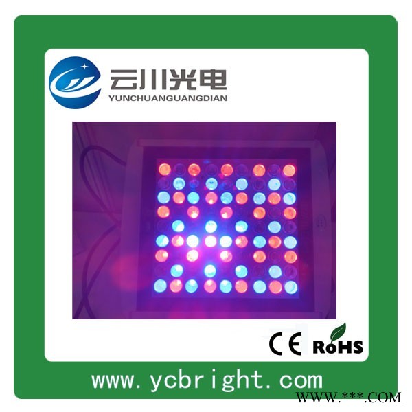 云川WZ-TG-RGB081N-09投光灯特制低压直流DC36V 81W七彩方形LED投光灯投射灯图1