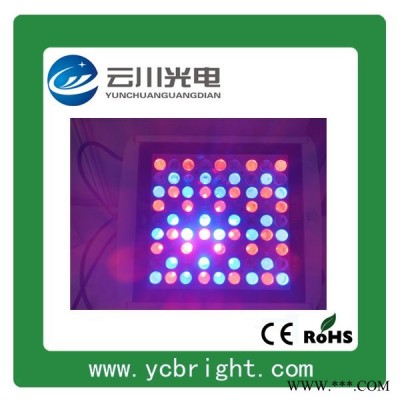 云川WZ-TG-RGB081N-09投光灯特制低压直流DC36V 81W七彩方形LED投光灯投射灯