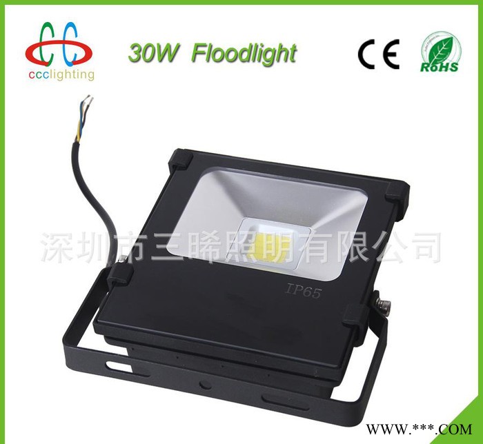 ** 30W LED泛光灯 LED投光灯 广场灯 户外灯COB  防水 IP65图3