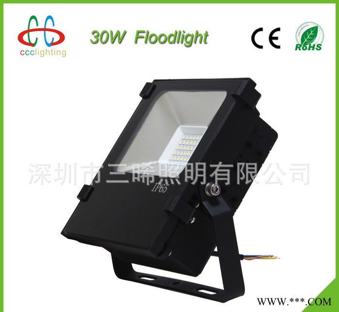 ** 30W LED泛光灯 LED投光灯 广场灯 户外灯COB  防水 IP65图1