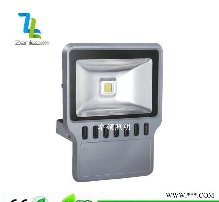 卓领照明ZL-FL1010/1200-C LED投光灯10W-200WLED防水led投光灯 户外广告招牌亮化灯图2
