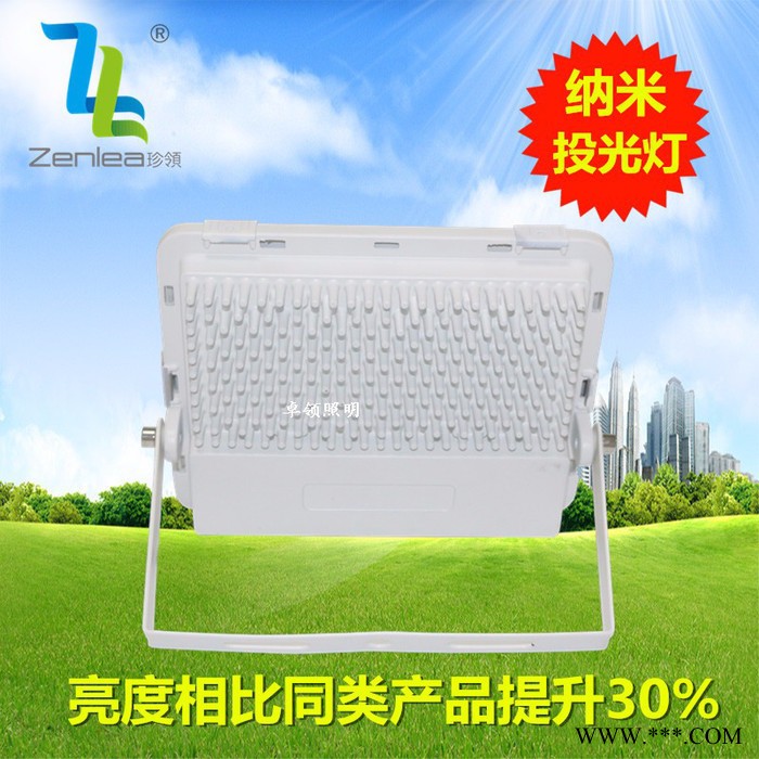 Zenlea珍领ZL-FL20-G 20w  绿化景观灯 LED纳米投光灯图3