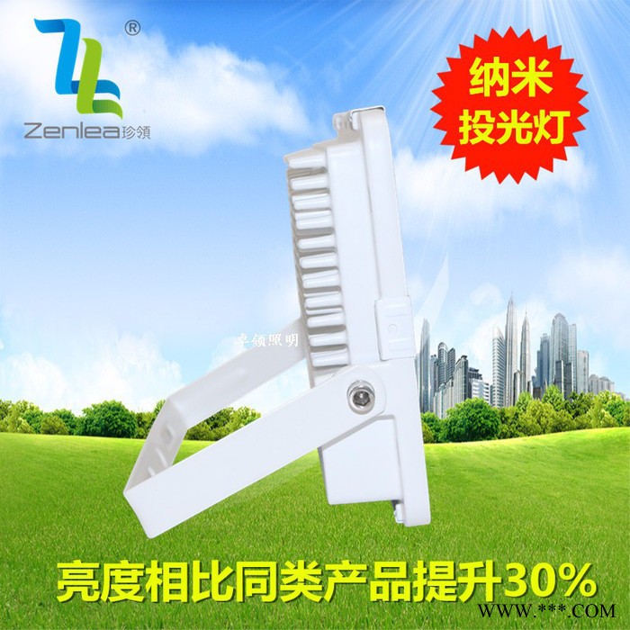 Zenlea珍领ZL-FL20-G 20w  绿化景观灯 LED纳米投光灯图2