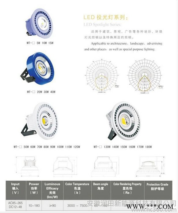 供应Hot sell! LED投光灯图2