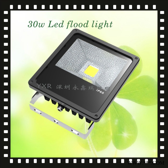 供应深圳led投光灯、鳞片泛光灯生产**30瓦175块/PCS图1